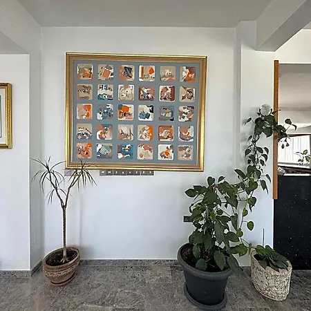 Отель Bellapais Oasis 3*